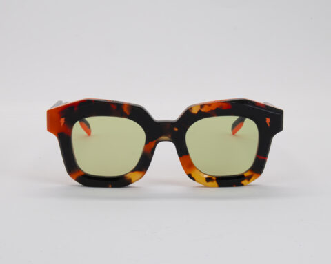 STEVE C6 F G-Avec accentuation-Bruit