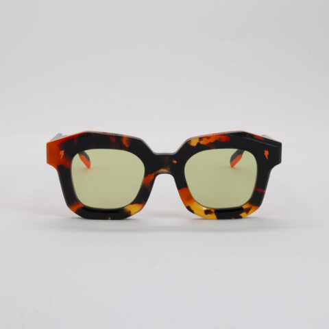 STEVE C6 F G-Avec accentuation-Bruit