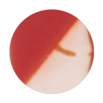 C7 ROUGE / CRYSTAL ROSE